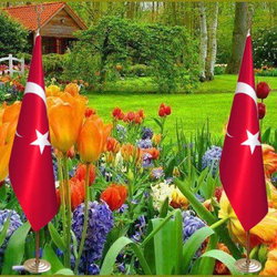 Halil