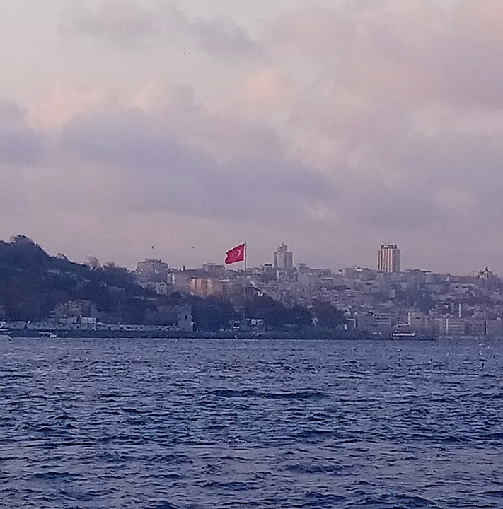 Ortak
