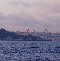 Ortak