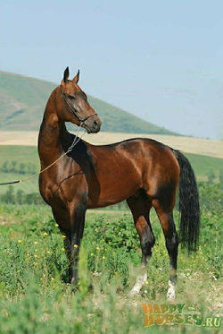 Минара