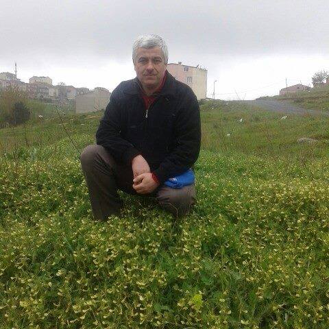 Mustafa