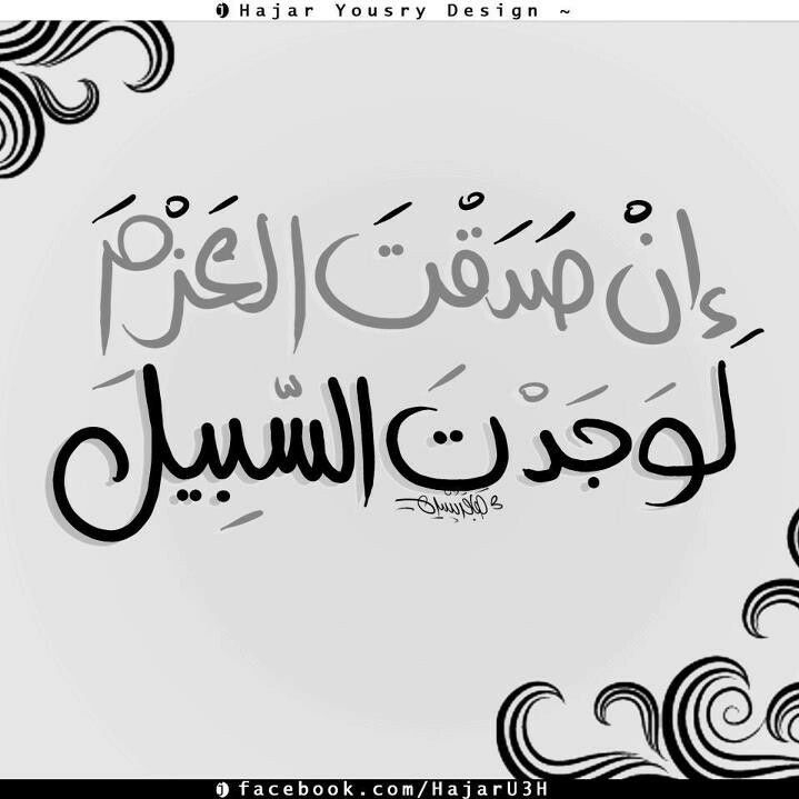 داود