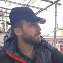 Şahin