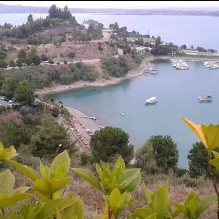 Emine