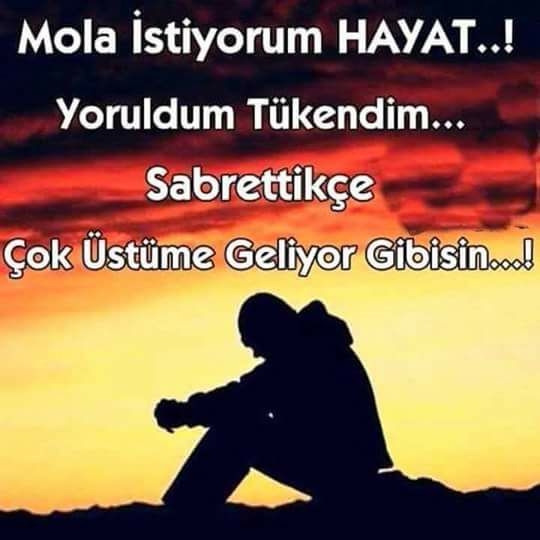 Haydar