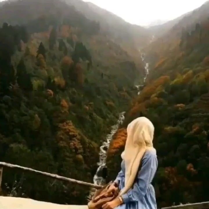Nur
