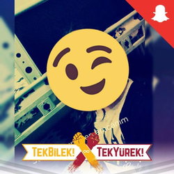 Dilek