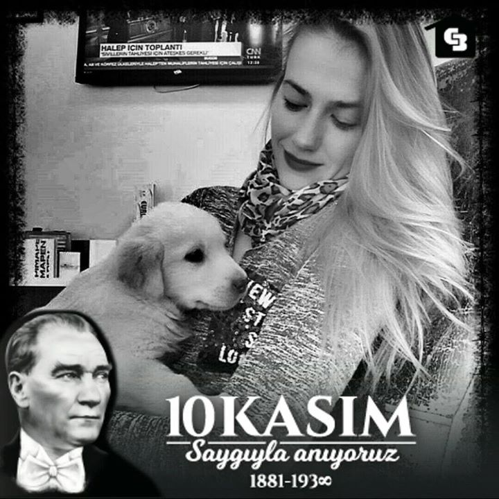 Sibel