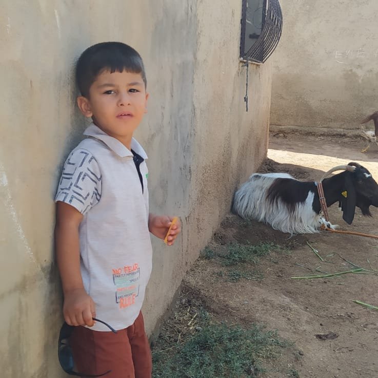 Halil