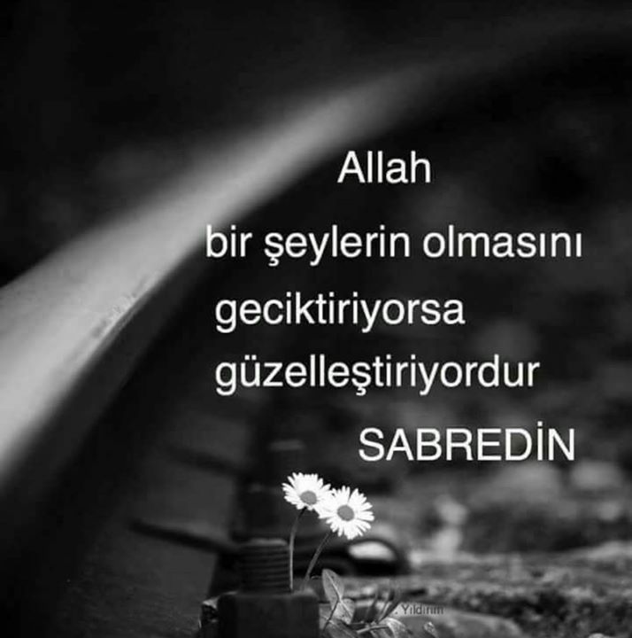 Elif