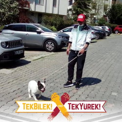 Mustafa