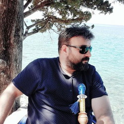 Arı