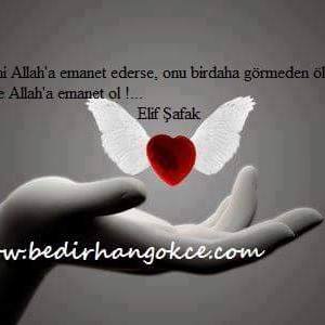 İhsann
