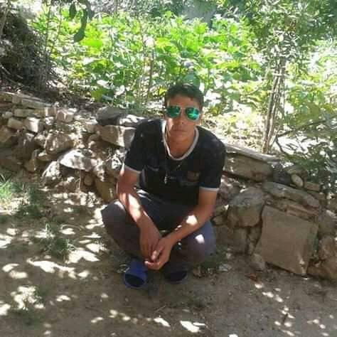 Vedat
