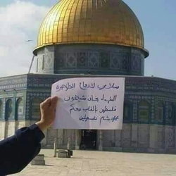ادلبي