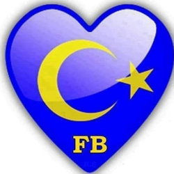 Halil