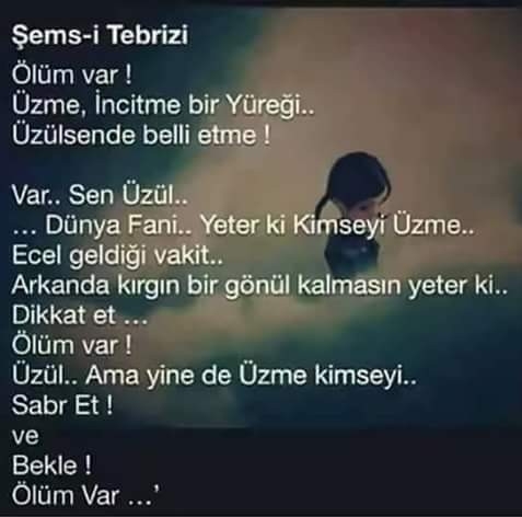 Abay