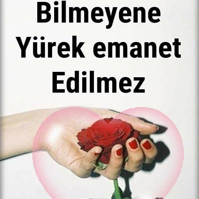 Natir