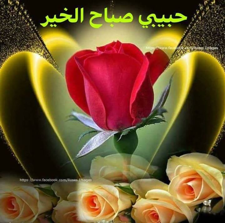 اشمالي