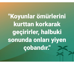 Turti