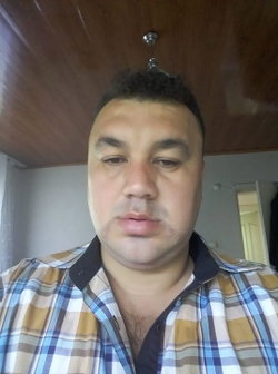 Şahin