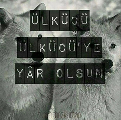 Ece
