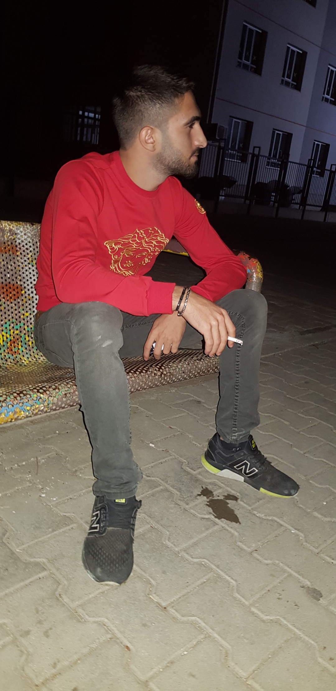 Doğan