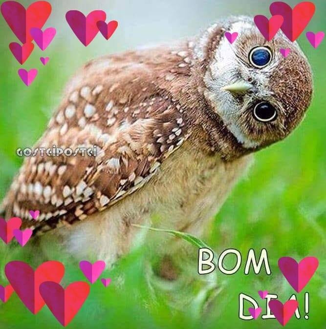 Cris