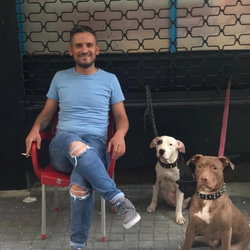 Oktay