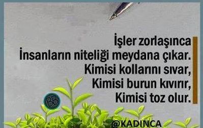 Seher