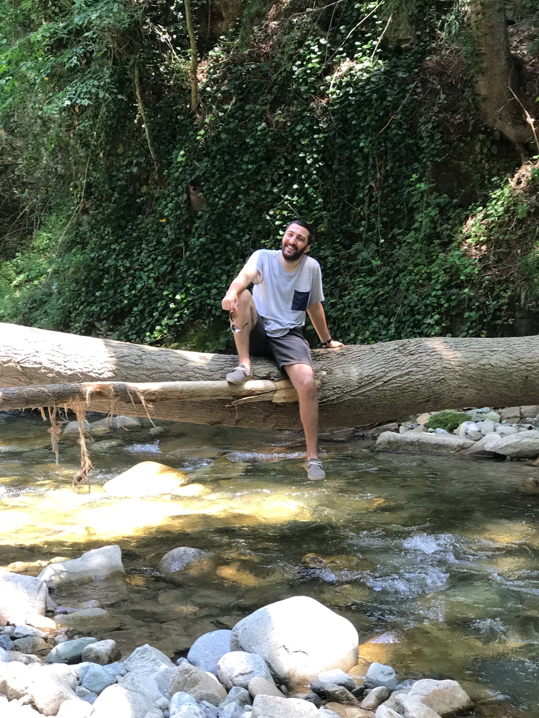 Şahin