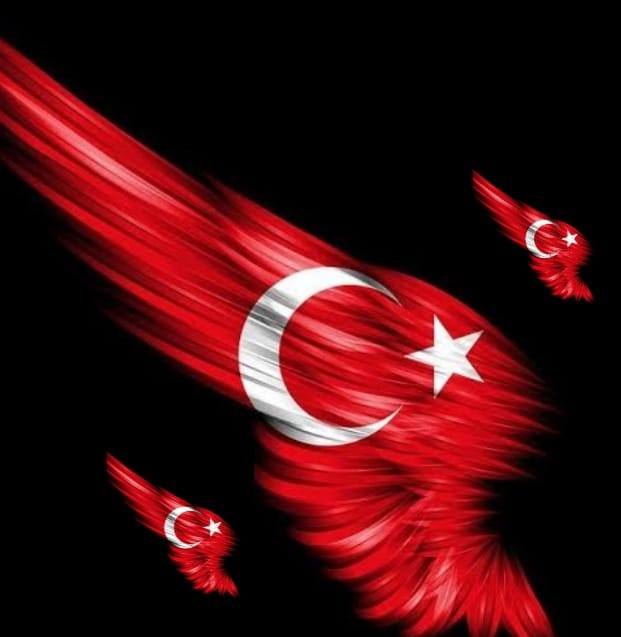 Orhan