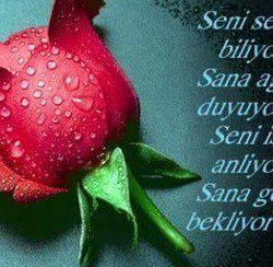 Yasemin