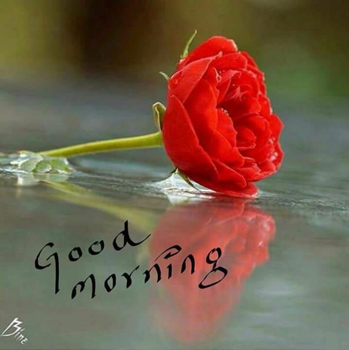 Sujit
