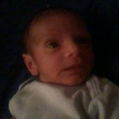 Habib