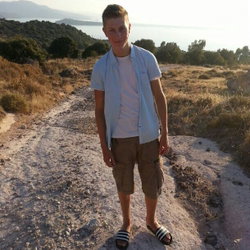 Laurens