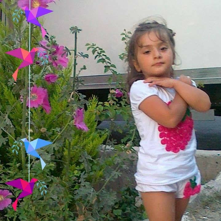 Erdal