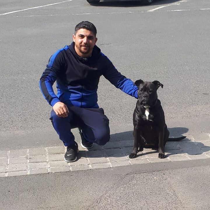 Ivan