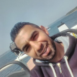 Şahin