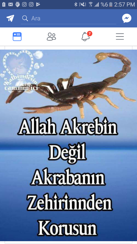 Kaan