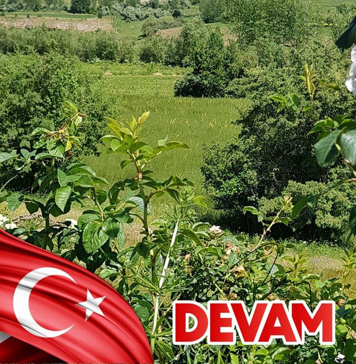 Nezir
