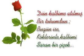 Efe