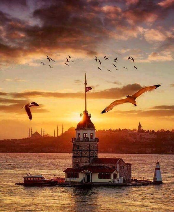 Gezgin