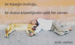 Ceren