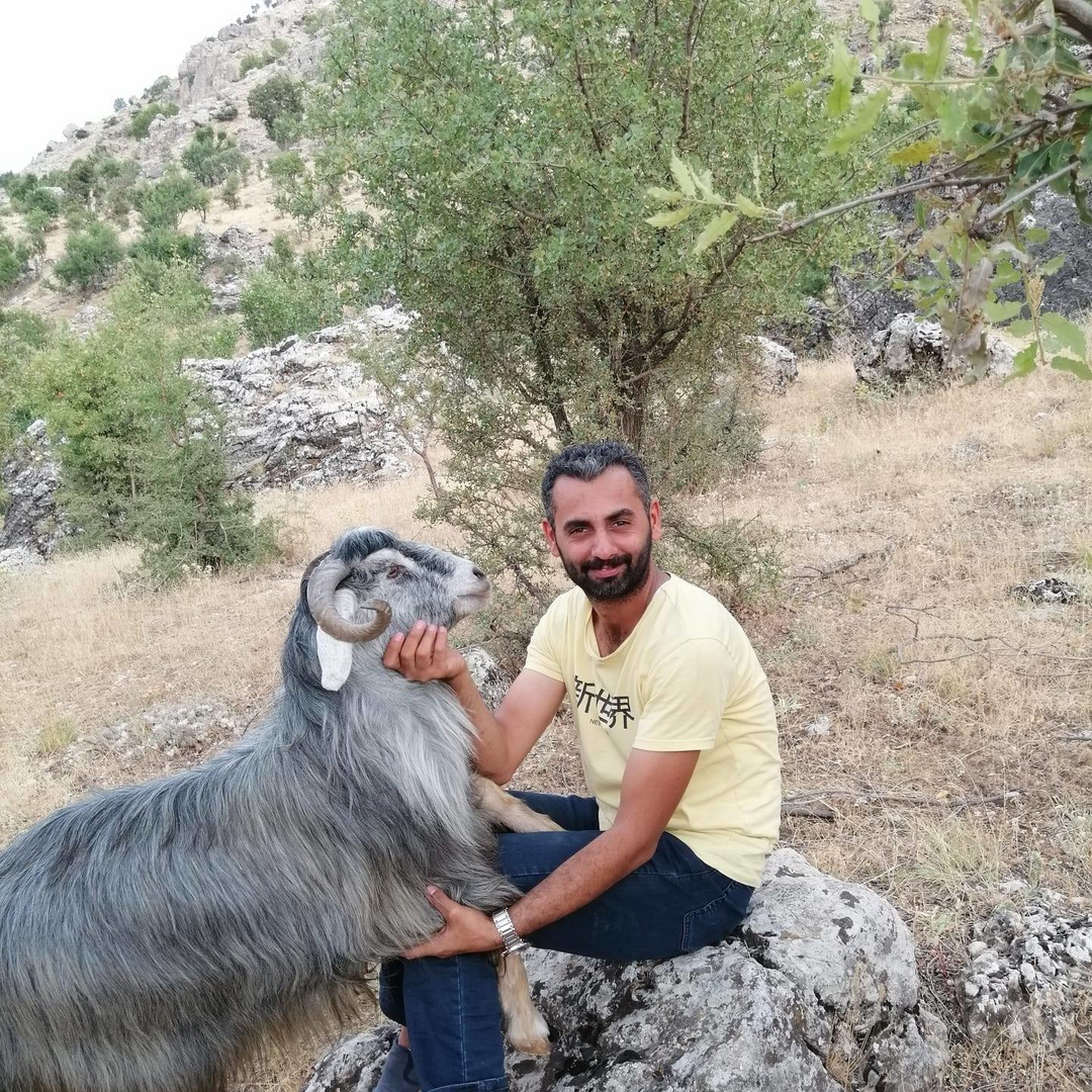 Umut