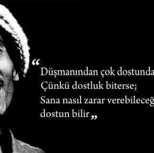Erdal