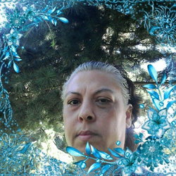 Sibel