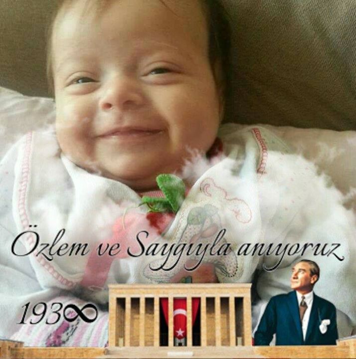 Ali