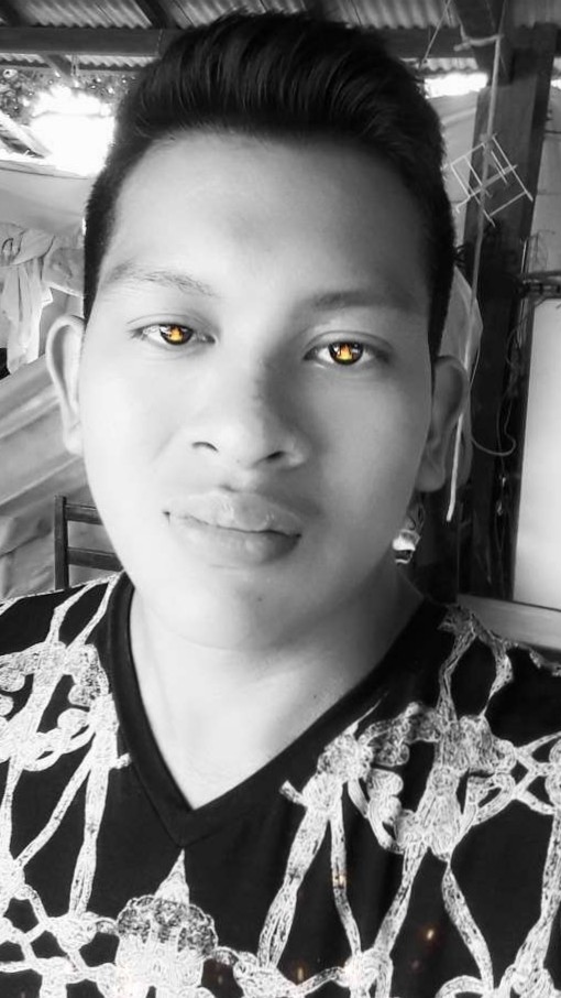 Andre