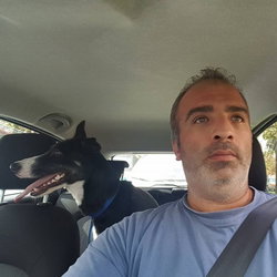 Savas